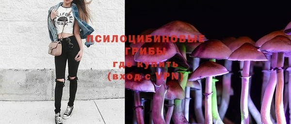 прущая мука Алексин