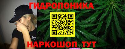 прущие крисы Партизанск