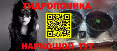 прущие крисы Партизанск