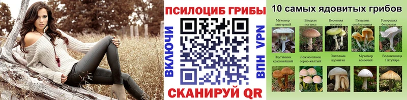 как найти наркотики  Югорск  Псилоцибиновые грибы MAGIC MUSHROOMS 
