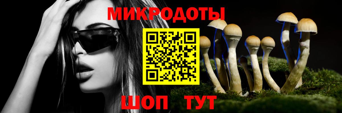 Псилоцибиновые грибы мухоморы Югорск